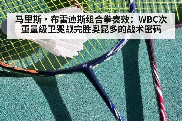 马里斯·布雷迪斯组合拳奏效：WBC次重量级卫冕战完胜奥昆多的战术密码 | jiuyou